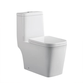 Aqua Dual Flush Elongated One-Piece Toilet, Soft-Close Seat